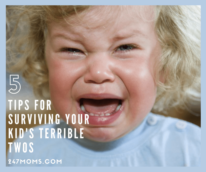 Tips menjalani masa terrible twos Tips menjalani masa terrible twos