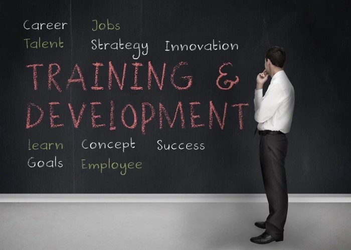 Training and development opportunities terbaru developing blackboard terms lms