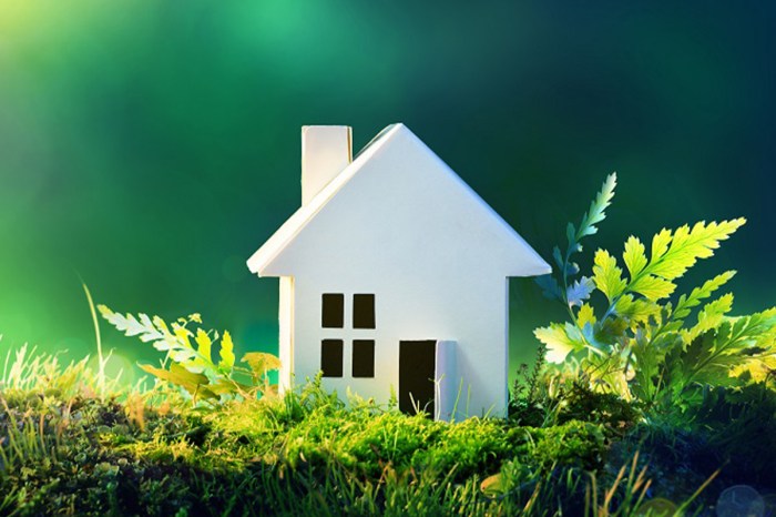 sustainably expat sustainably expat