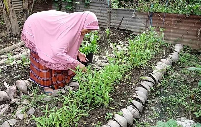 Ide berkebun di ruang sempit terbaru Ide berkebun di ruang sempit