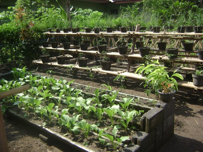 Ide berkebun di ruang sempit Ide berkebun di ruang sempit