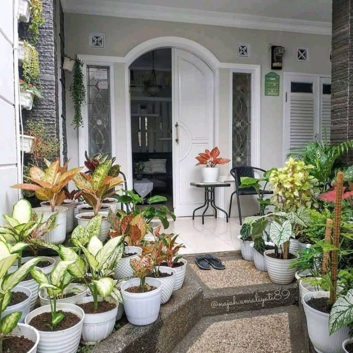 Ide berkebun di ruang sempit terbaru Ide berkebun di ruang sempit terbaru