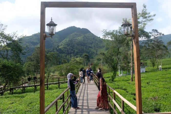 Tren wisata alam 2024 terbaru Tren wisata alam 2024 terbaru