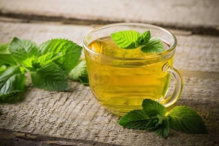 Cara menggunakan daun mint untuk batuk daun manfaat