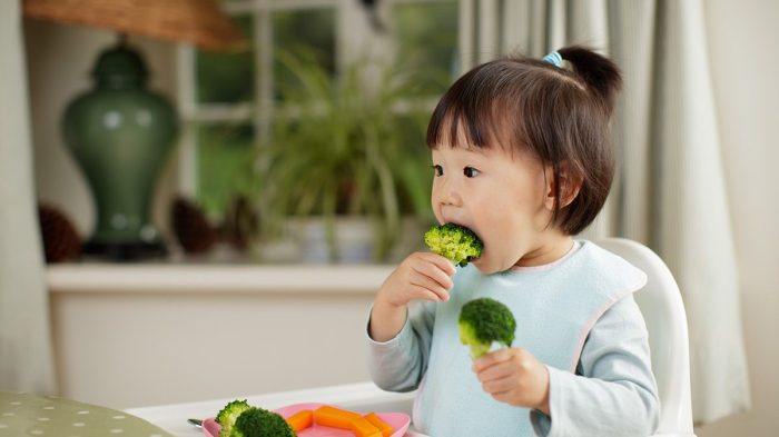 makan sayur lahap setiap bingung gizi melakukan menginginkan mendapatkan asupan sayangnya anaknya satunya makan sayur lahap setiap bingung gizi melakukan menginginkan mendapatkan asupan sayangnya anaknya satunya