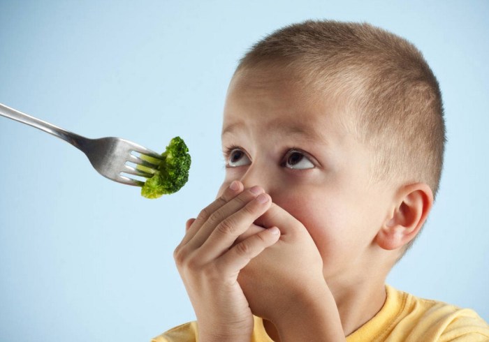 susah mengahadapi mengatasi hilo tips mengatasi anak susah makan