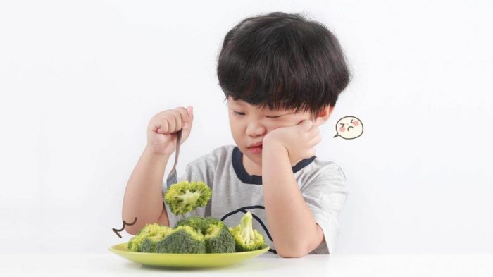 anak tidak suka makan sayur terbaru anak tidak suka makan sayur terbaru