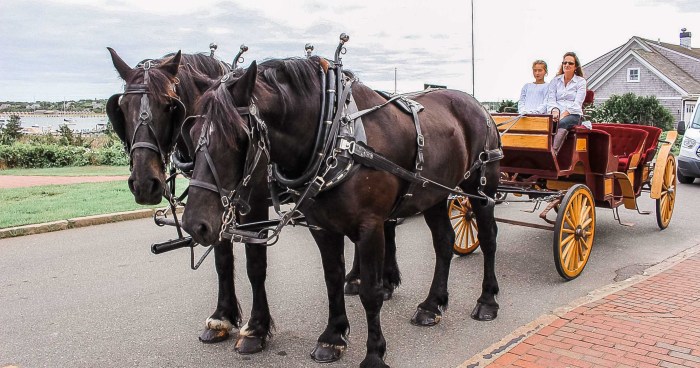 Mercenary riding a horse-drawn carriage terbaru
