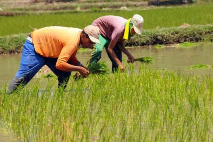 pekerjaan payscale diminati analyst jenis pekerjaan di sawah yang paling banyak diminati terbaru