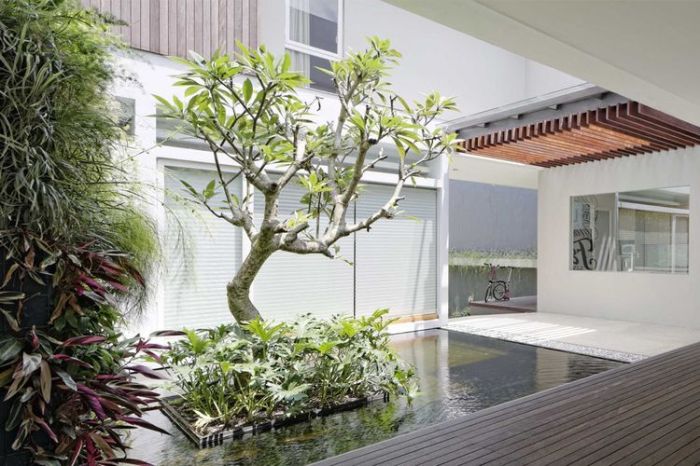 Pohon taman rumah rindang halaman menempatkan cantik kompas Cara merawat pohon rindang di halaman rumah