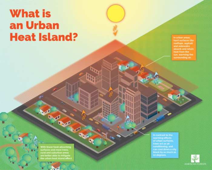 Heat urban island effect islands graphic vegetation buildings Urban heat island effect reduction