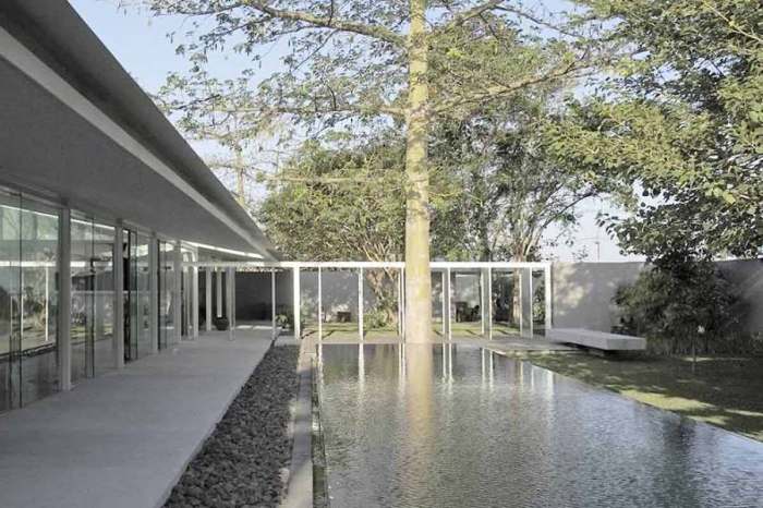 Pohon rindang taman rumah arsitag estetis makin menanam agar Pohon rindang taman rumah arsitag estetis makin menanam agar