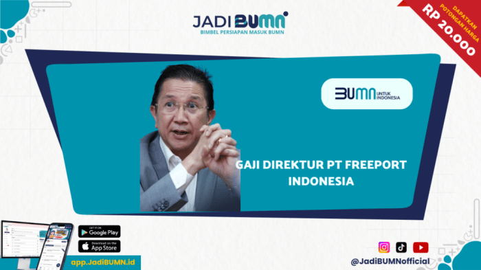 Gaji Direktur PT Freeport Indonesia - Gaji Fantastis! Segini Gaji Gaji PT Daimyung Indonesia