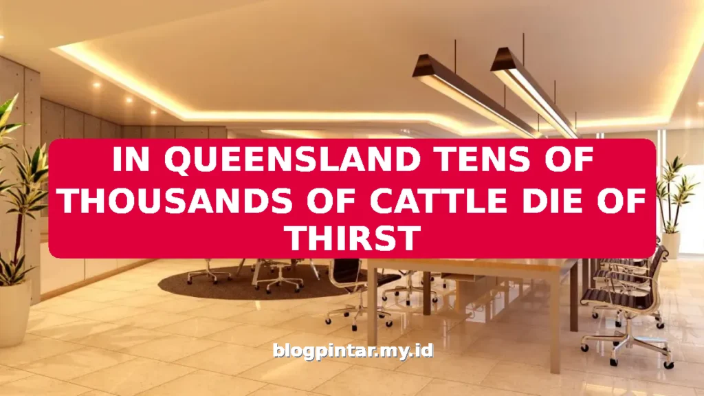 IN QUEENSLAND TENS OF THOUSANDS OF CATTLE DIE OF THIRST